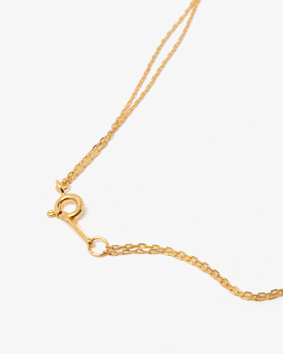 SKIN CHAIN LAYER NECKLACE