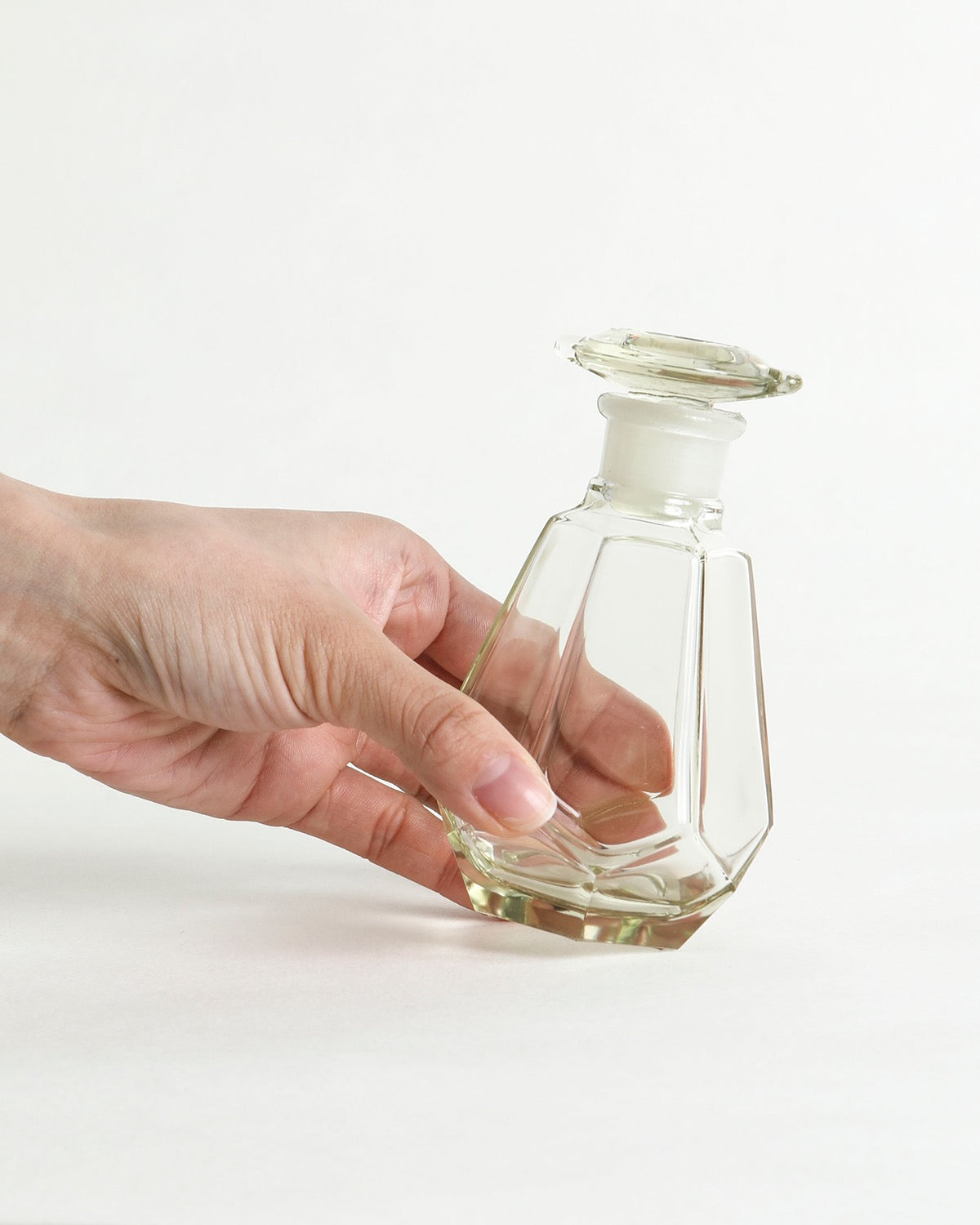 SHOYUSASHI TURTLESHELL