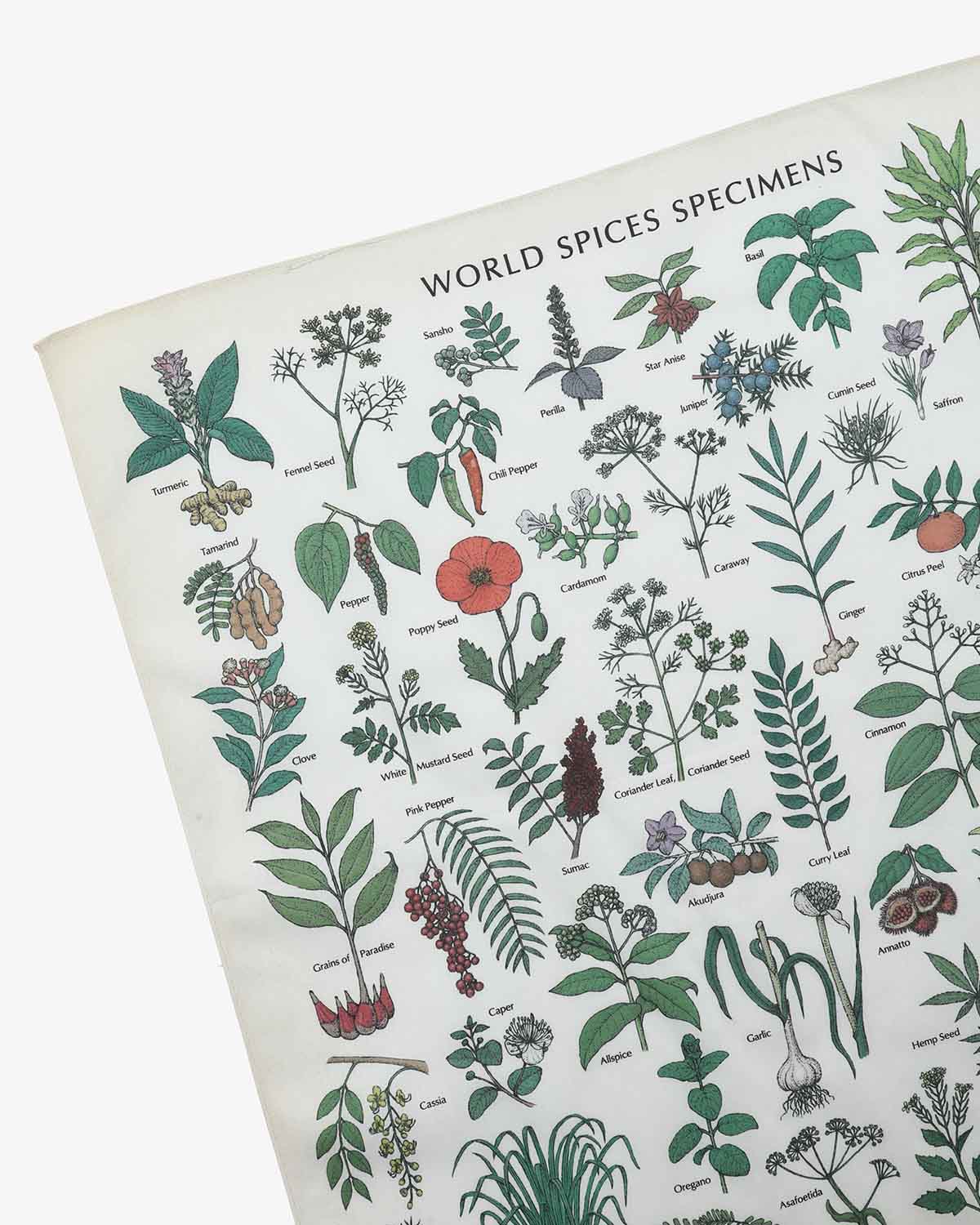 TRANSIT SPICE BANDANA