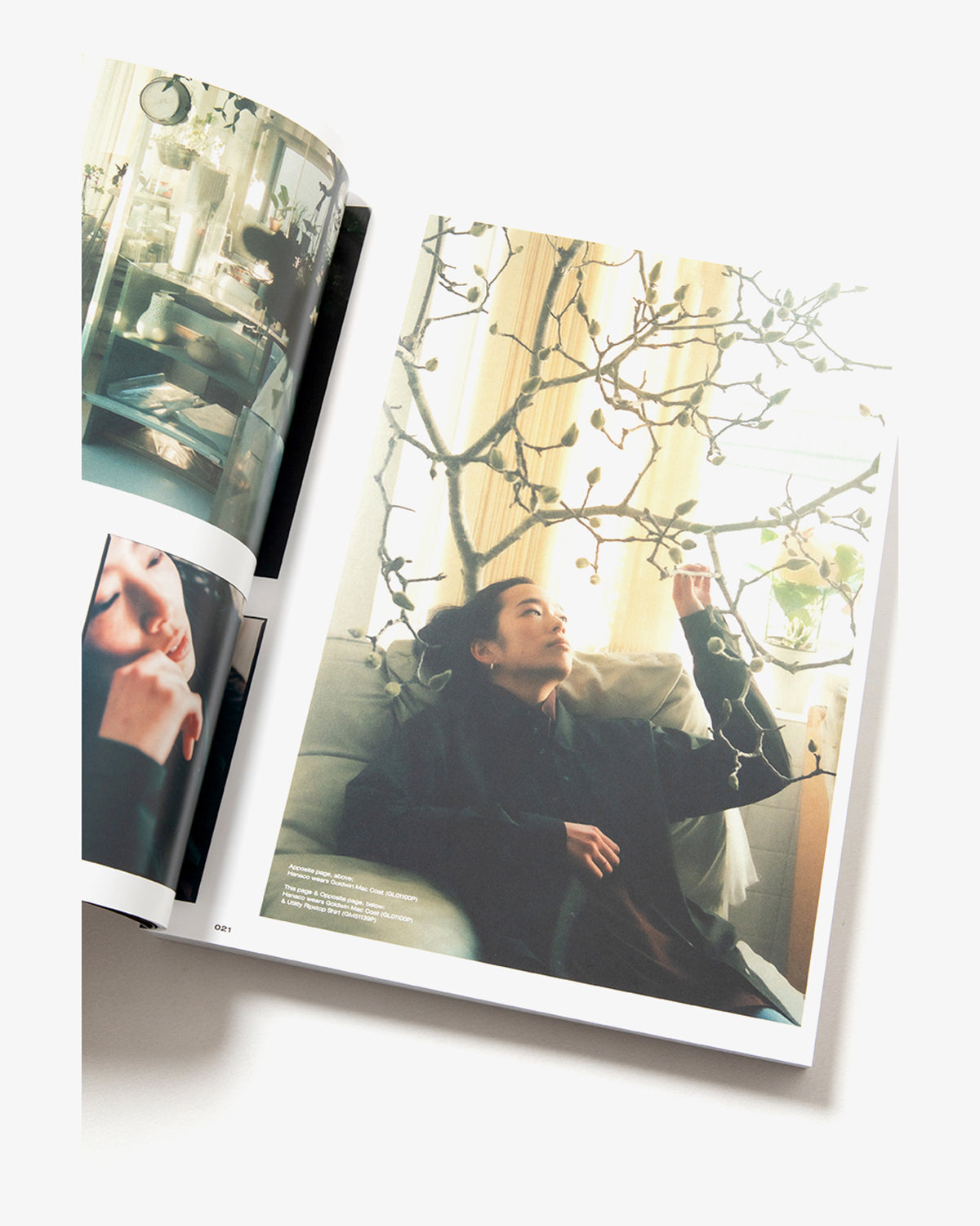 THE NEW ORDER VOL.24