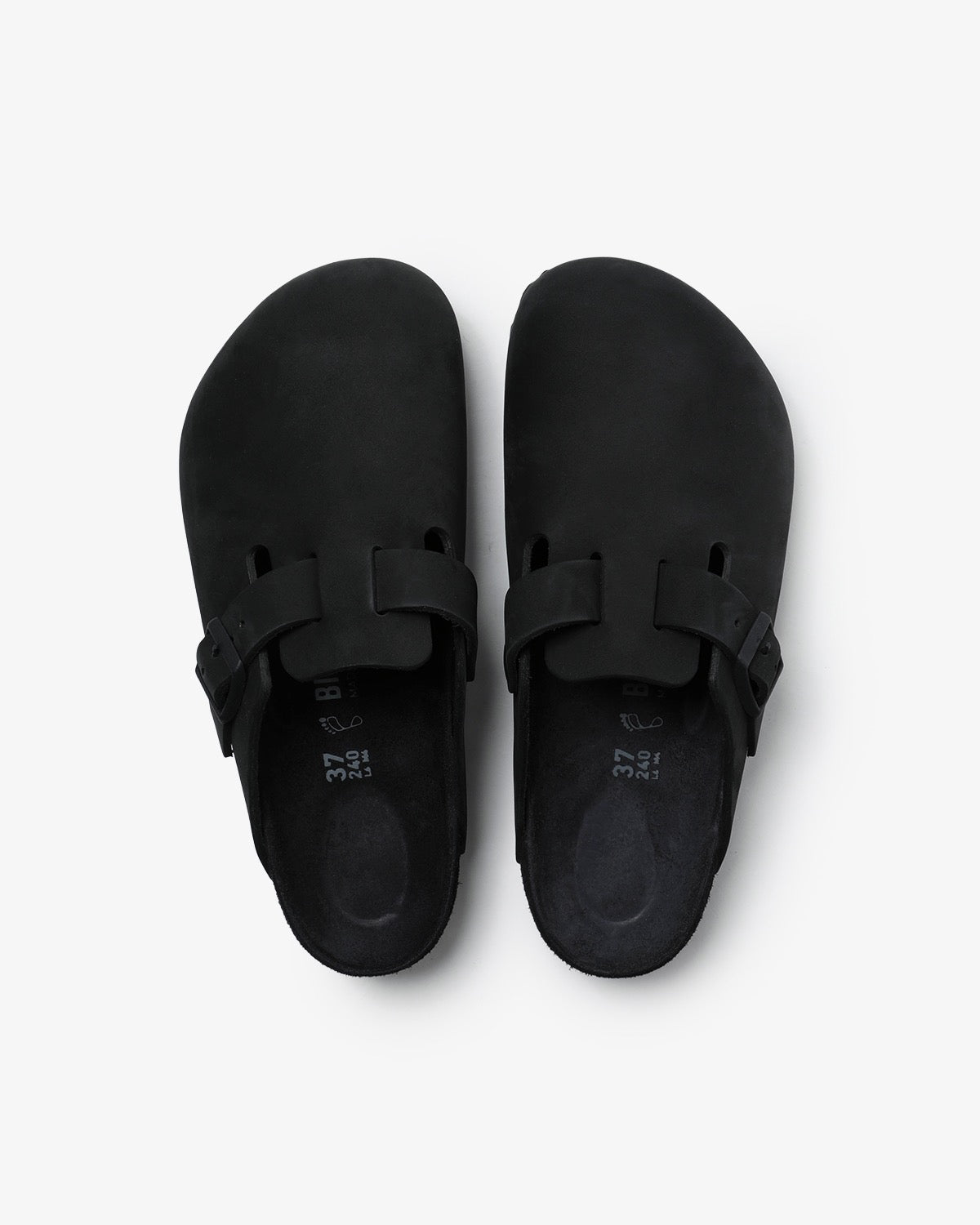 BOSTON EXQUISITE (WOMEN'S)