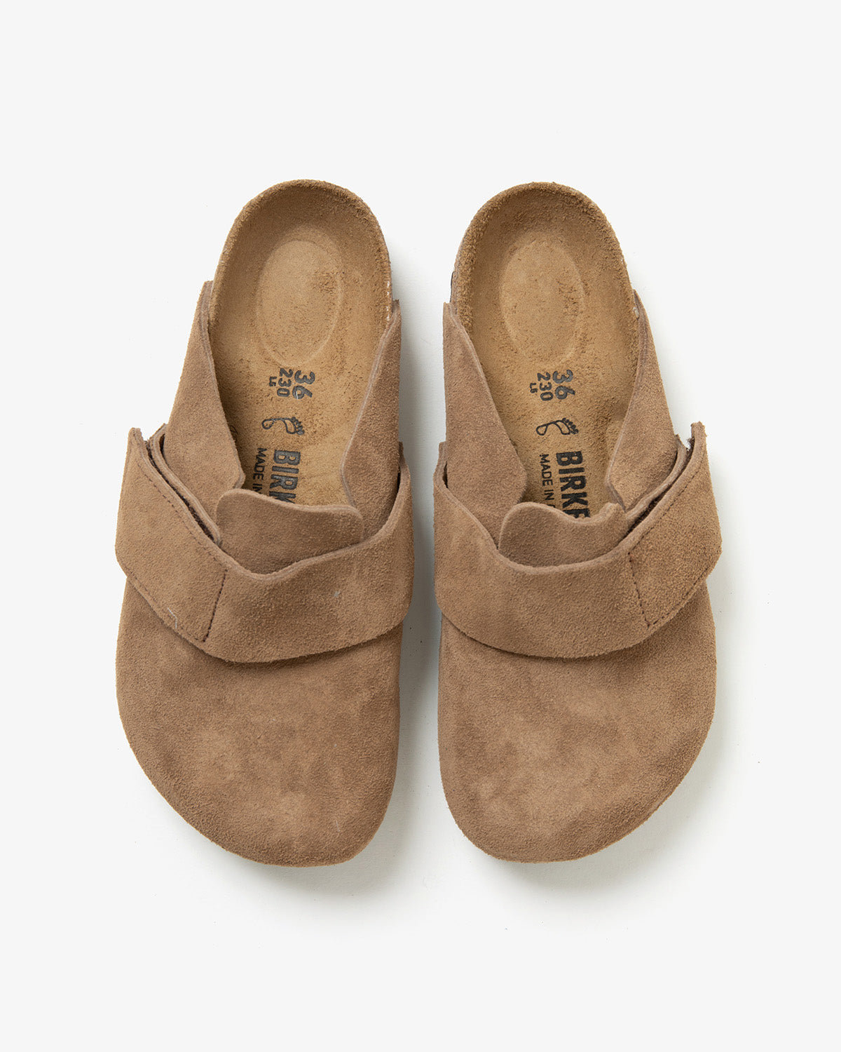 LOMA (WOMEN'S)