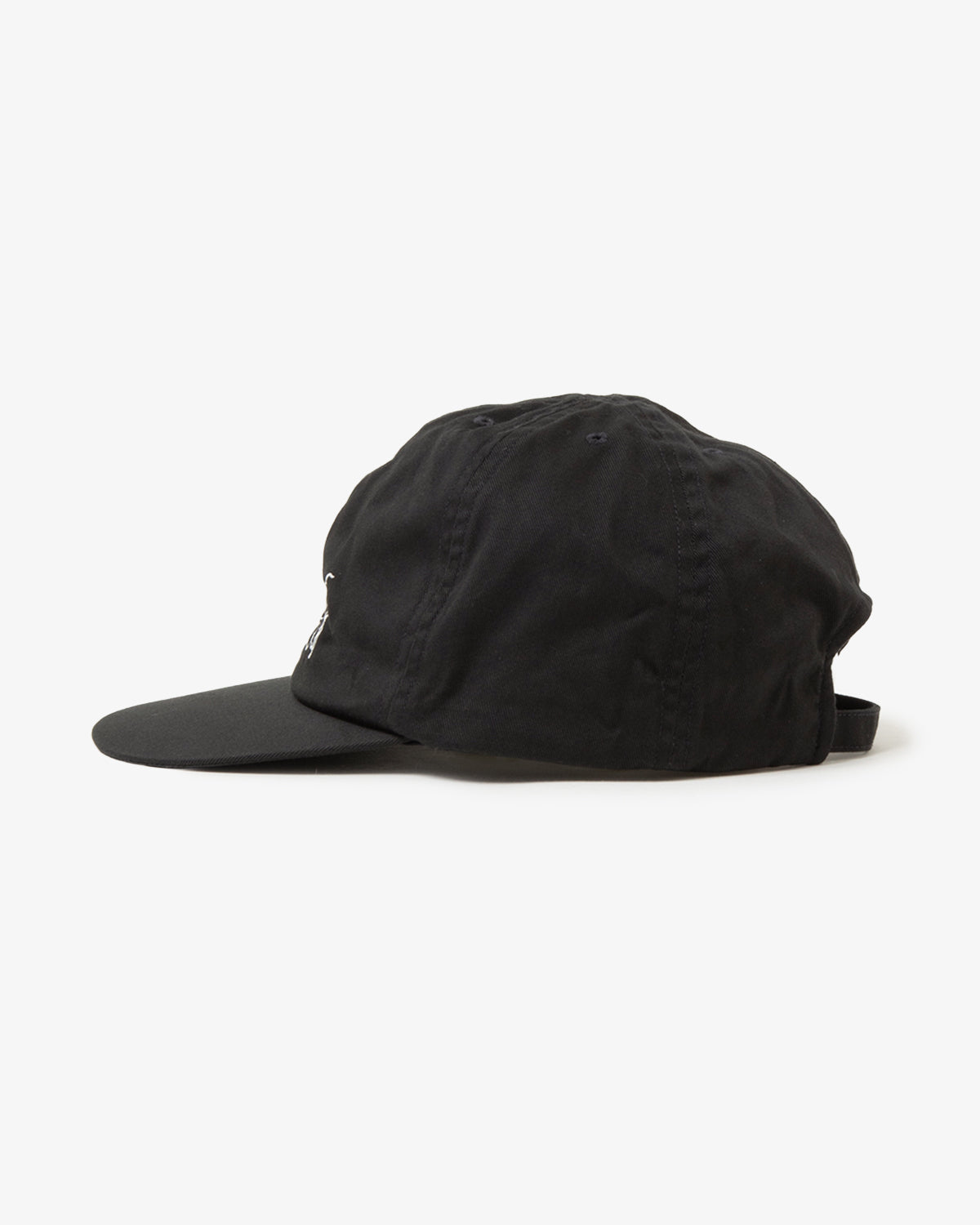 A SCENE OF SOMETHING CAP (WOMEN'S)