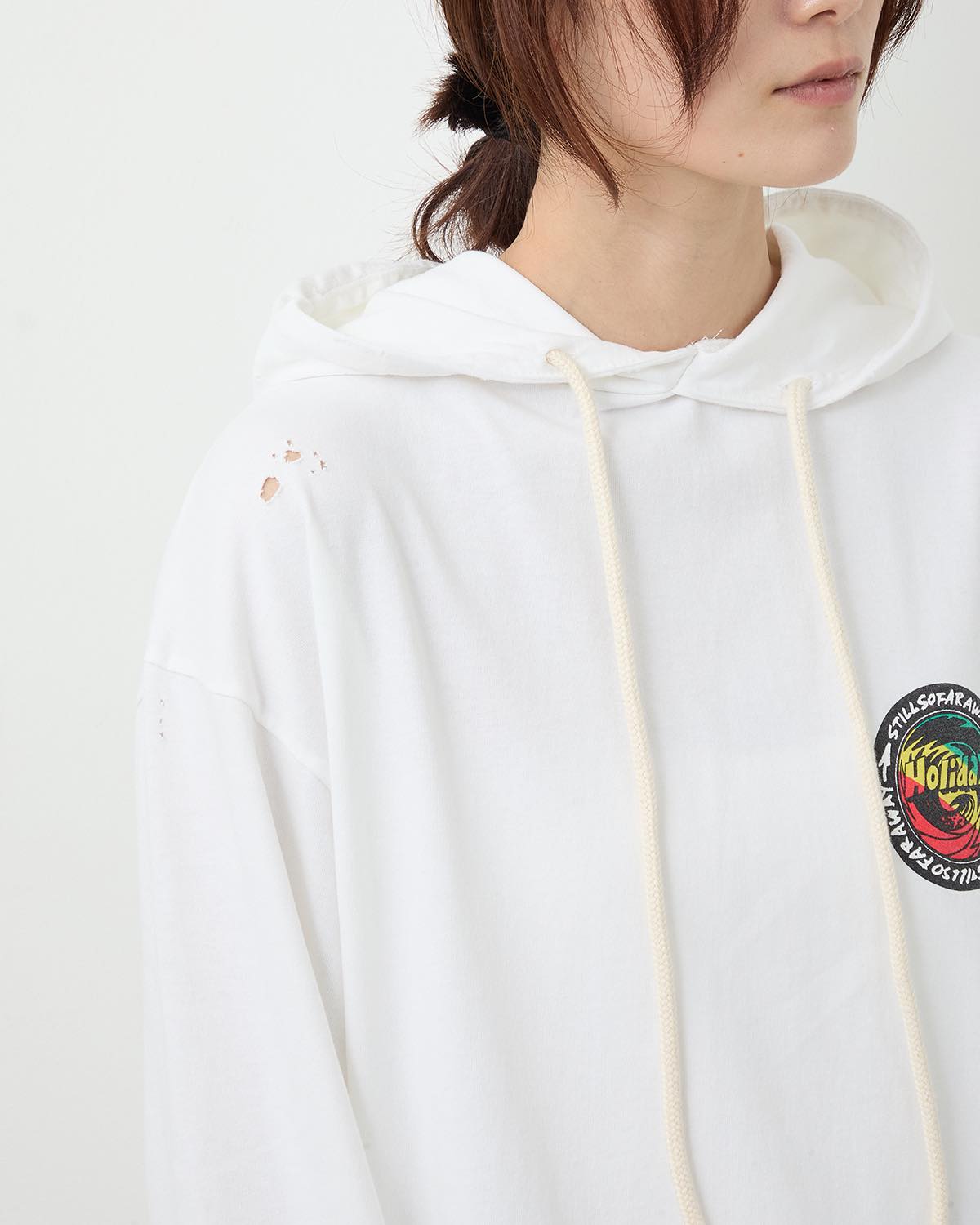 SUPER FINE DRY DAMAGE L/S HOODIE（RASTA CIRCLE）