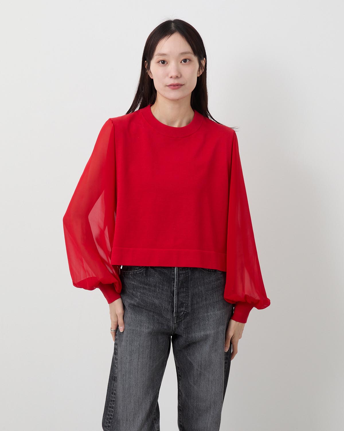 SHEER SLEEVES CREW NECK CROPPED KNIT
