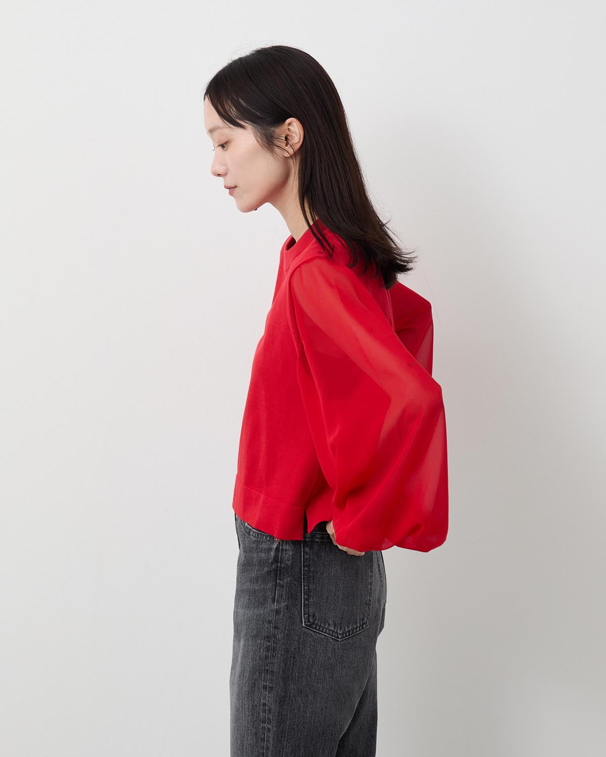 SHEER SLEEVES CREW NECK CROPPED KNIT