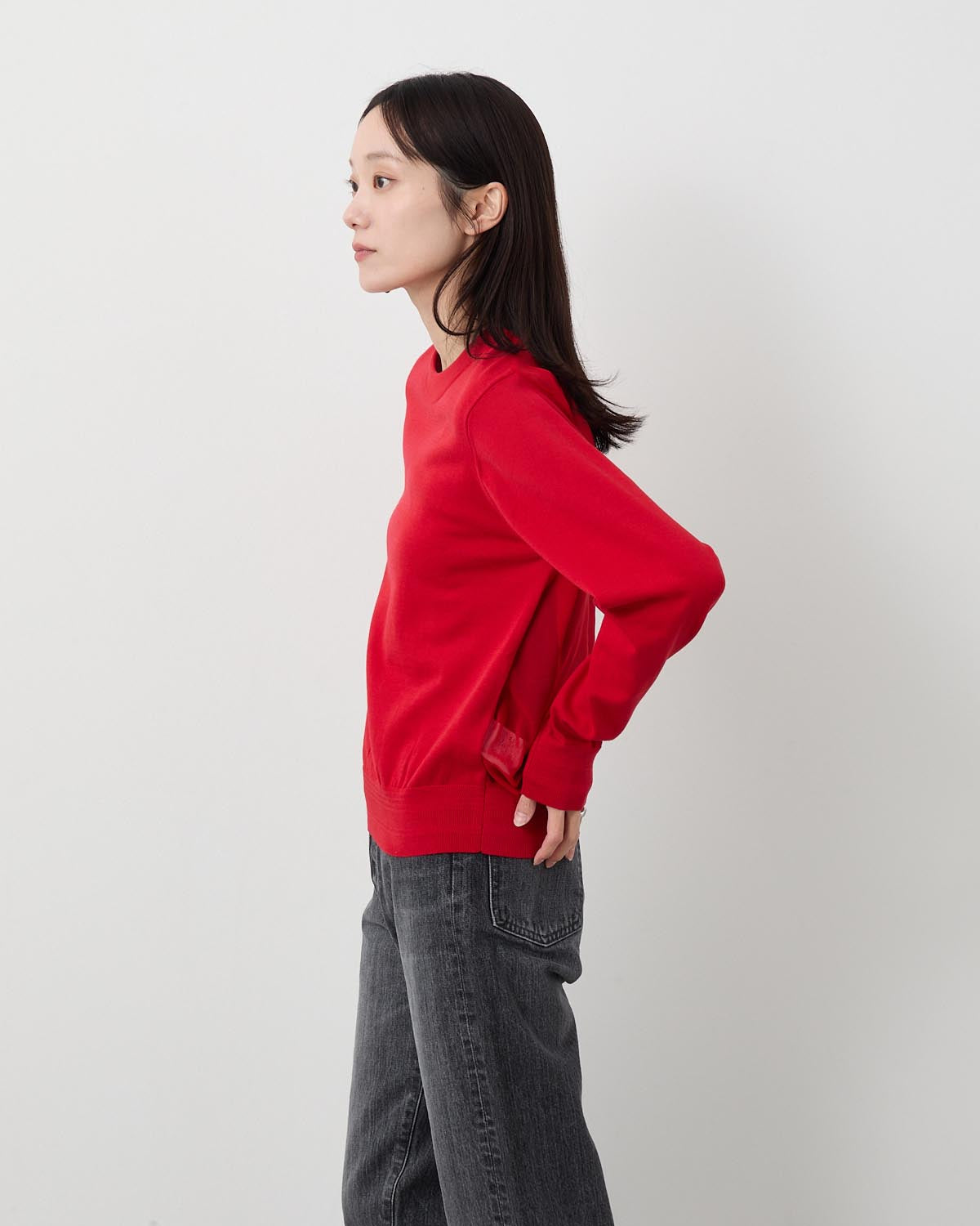 SHEER BACK CREW NECK KNIT