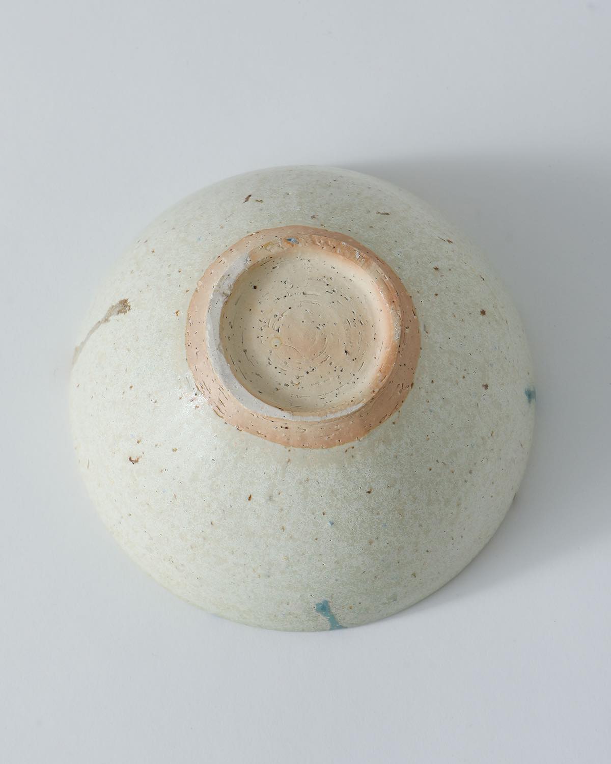 16CM BOWL- SHELL AND SEA