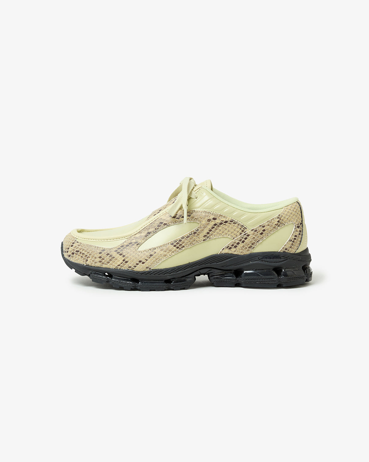 U18907P8 (WOMEN'S)