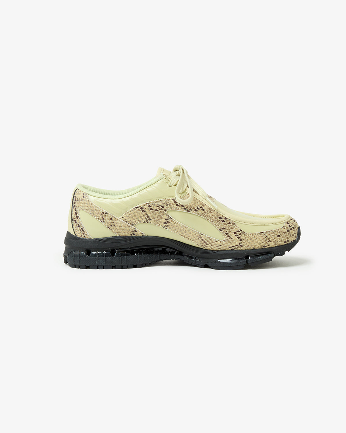 U18907P8 (WOMEN'S)