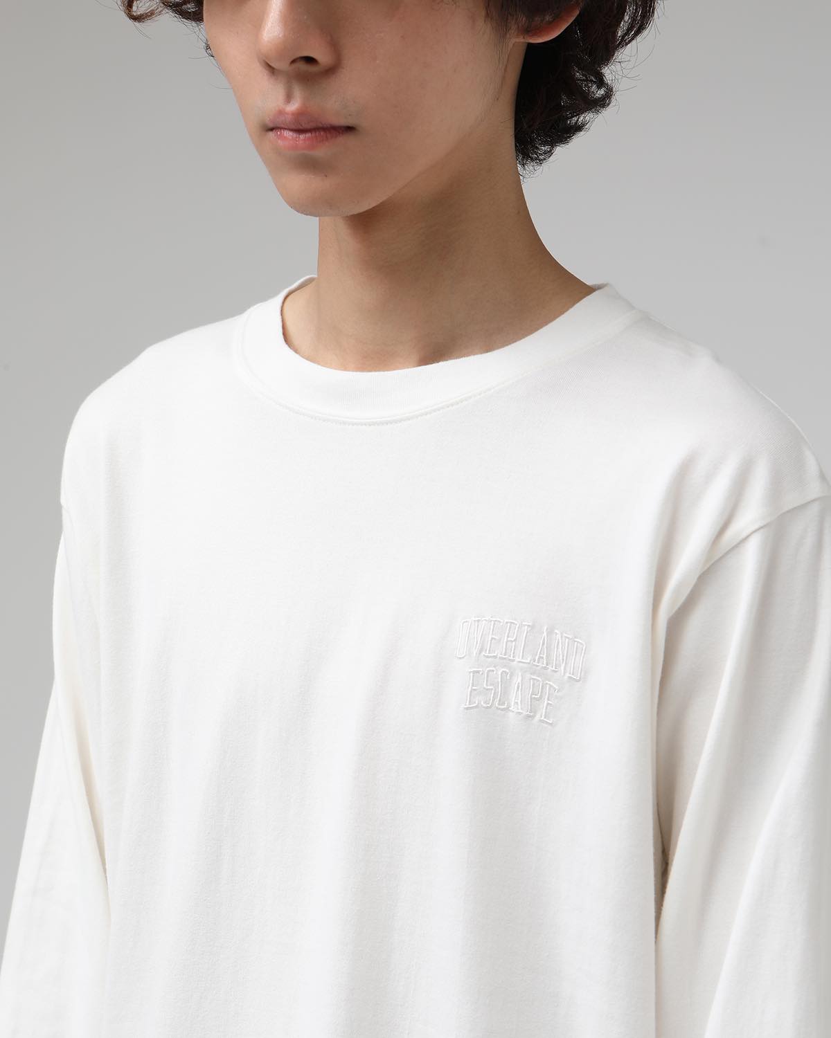 DWELLER L/S TEE  