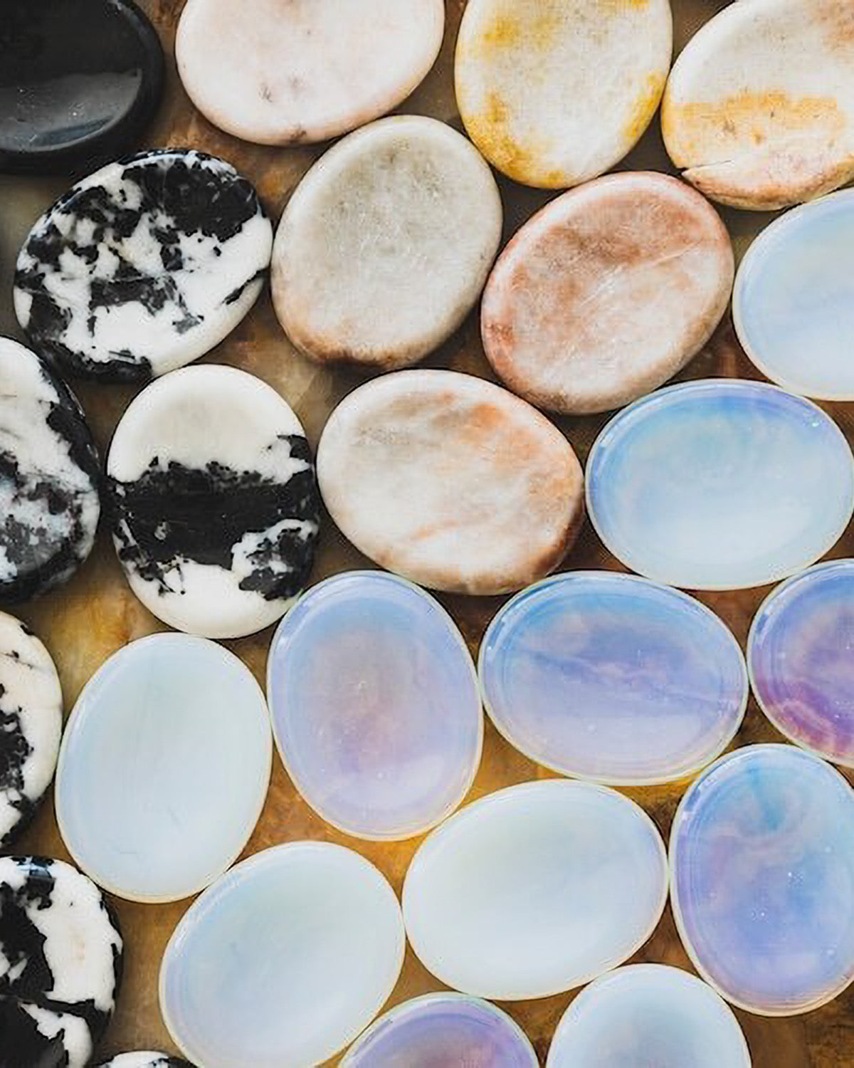 O PALM STONE - モノトーン