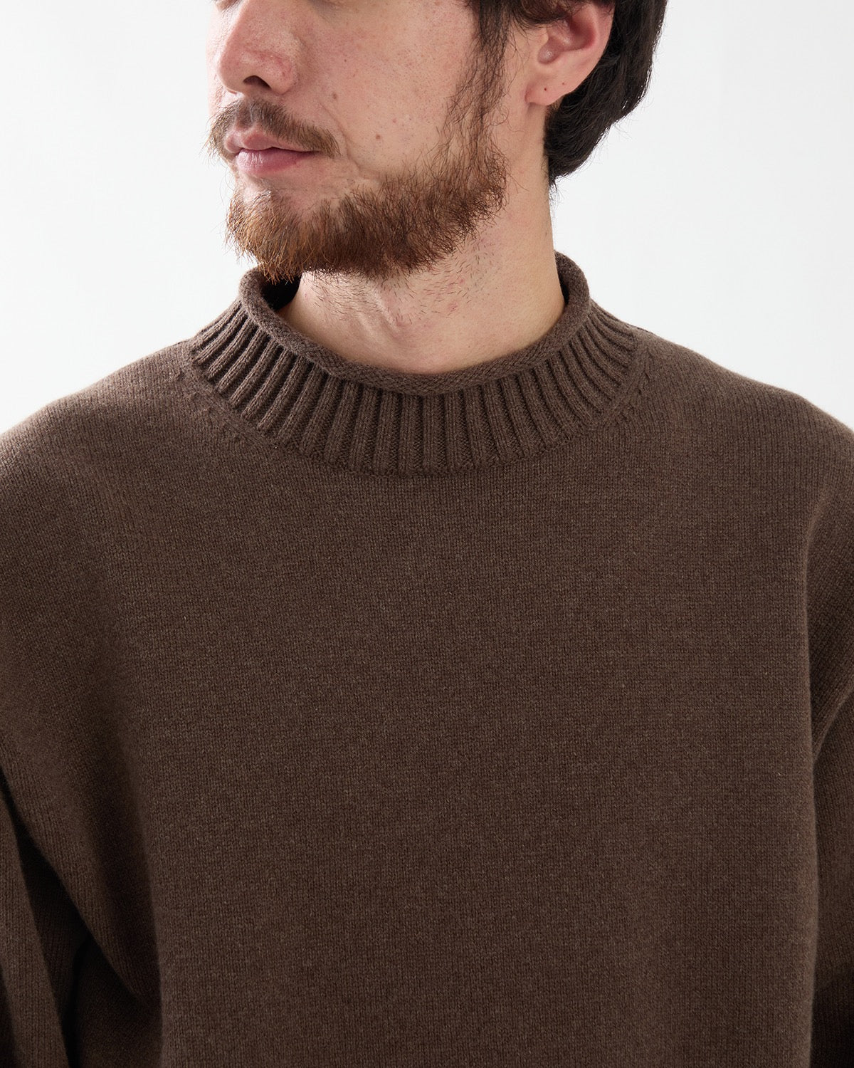 SUPER FINE WOOL KNIT MOCK NECK P/O