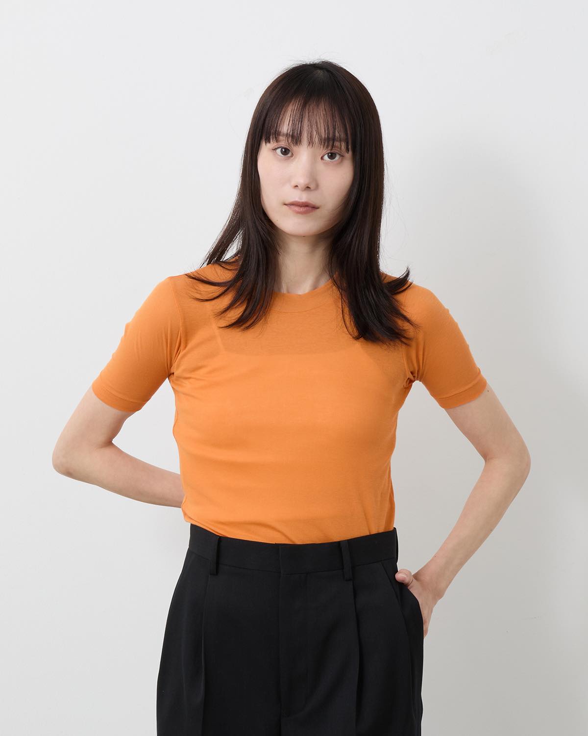 SUPER HIGH GAUGE SHEER RIB TEE