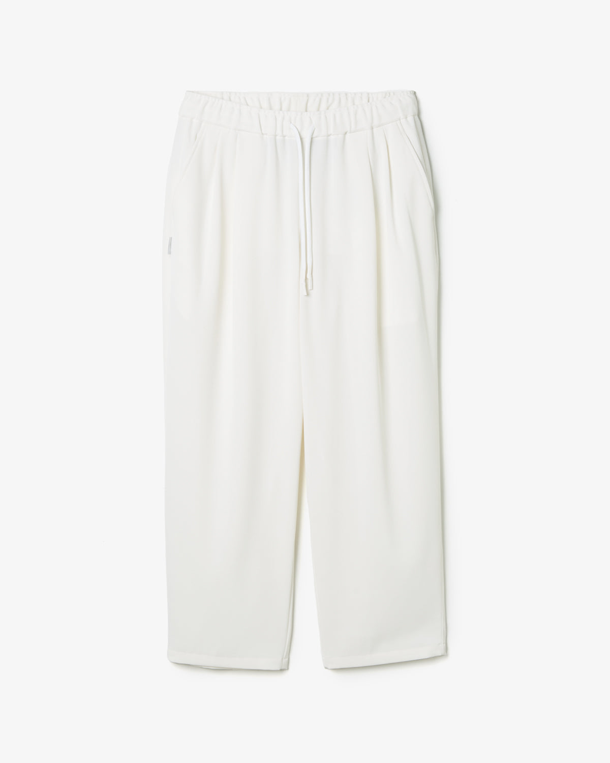 TWO TUCK WIDE PANTS