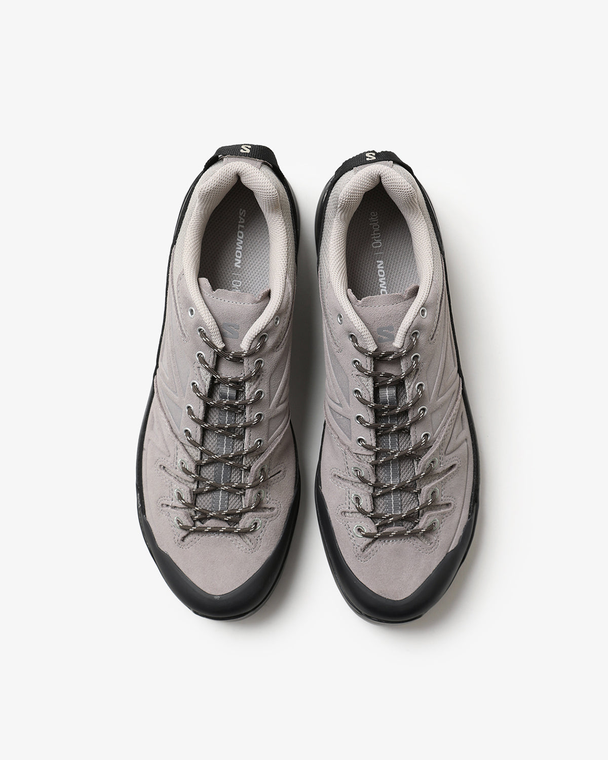 X-ALP LTR (WOMEN'S)