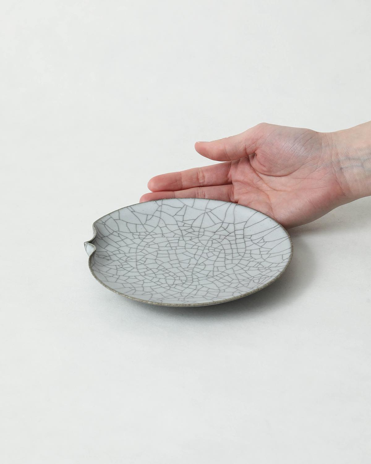 炭入り 片口5寸皿