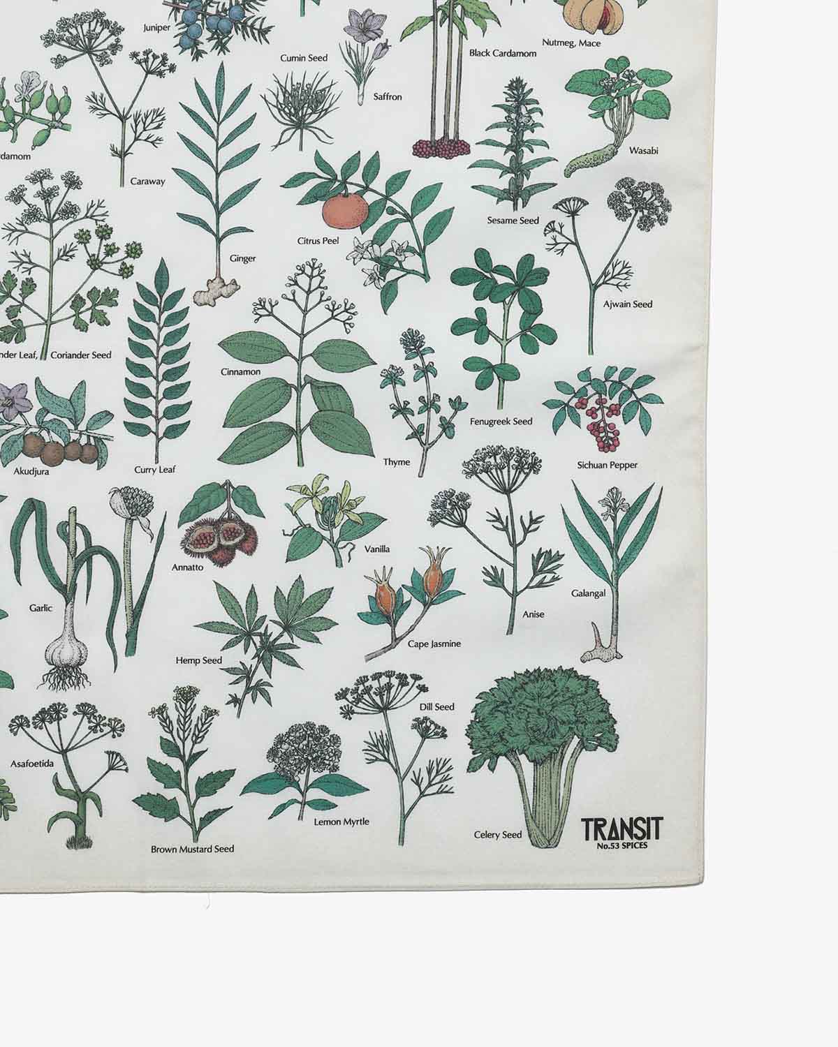 TRANSIT SPICE BANDANA