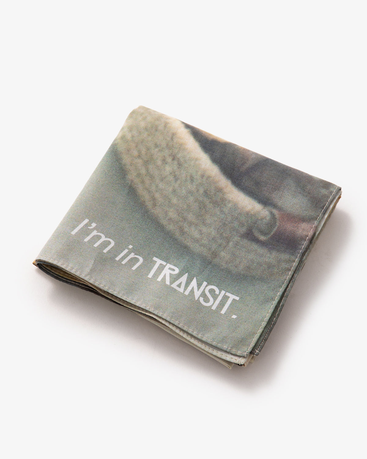 TRANSIT SPAIN BANDANA / PHOTO by TETSUO KASHIWADA