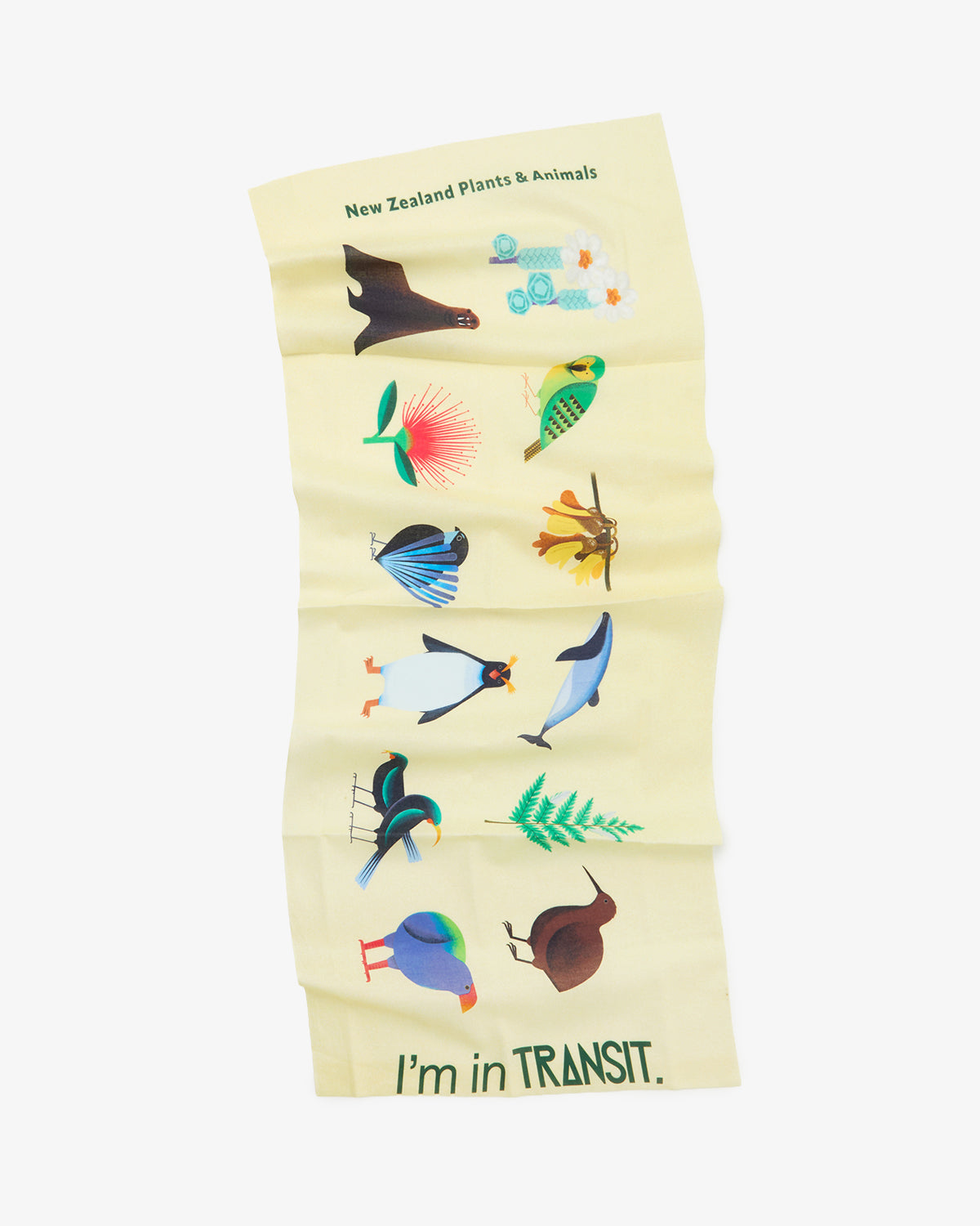 TRANSIT NZ TENUGUI