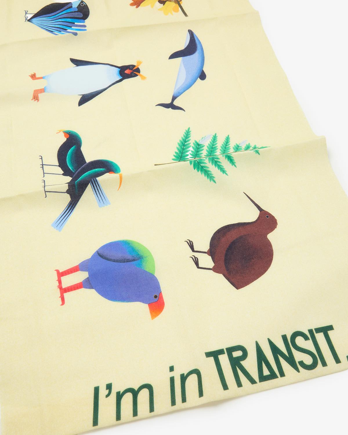 TRANSIT NZ TENUGUI