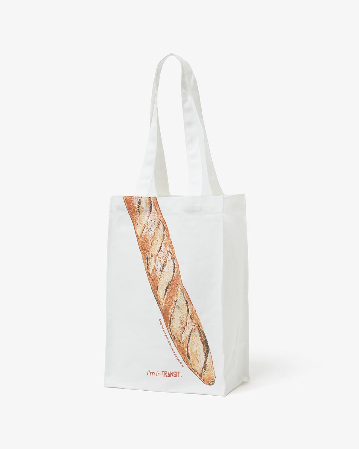 TRANSIT BAGUETTE BAG