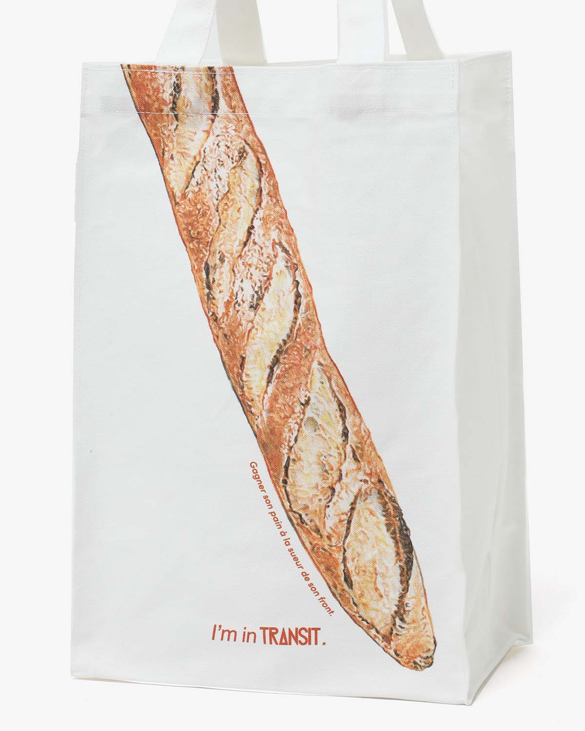 TRANSIT BAGUETTE BAG