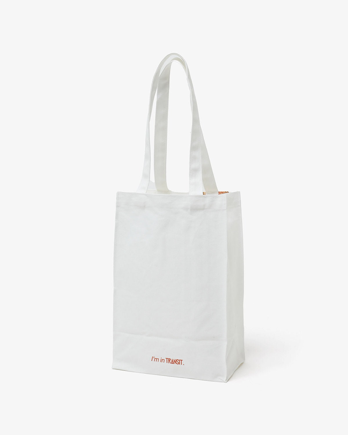 TRANSIT BAGUETTE BAG