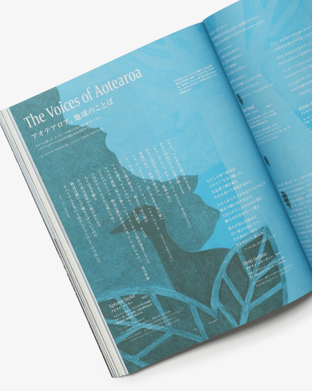 TRANSIT VOL.73