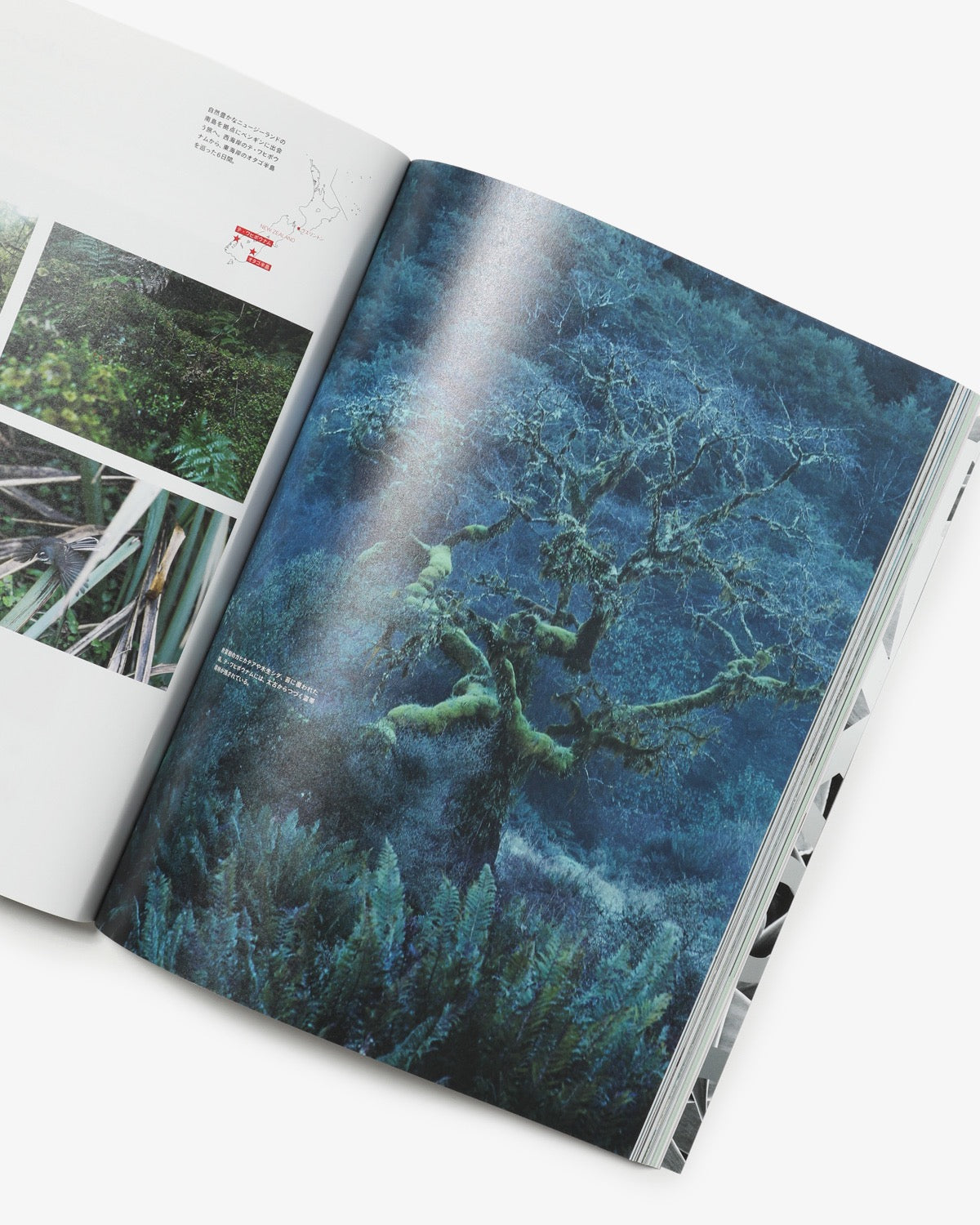 TRANSIT VOL.73