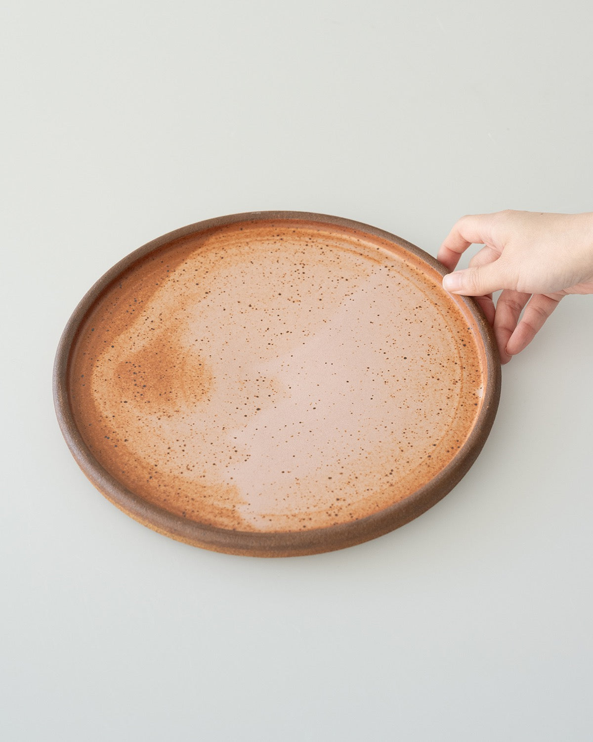 RIM PLATE L