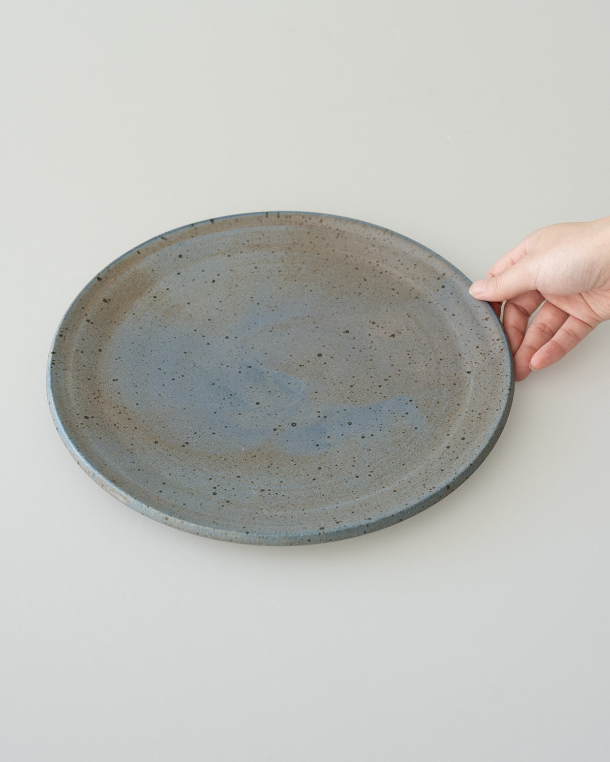 PLATE L