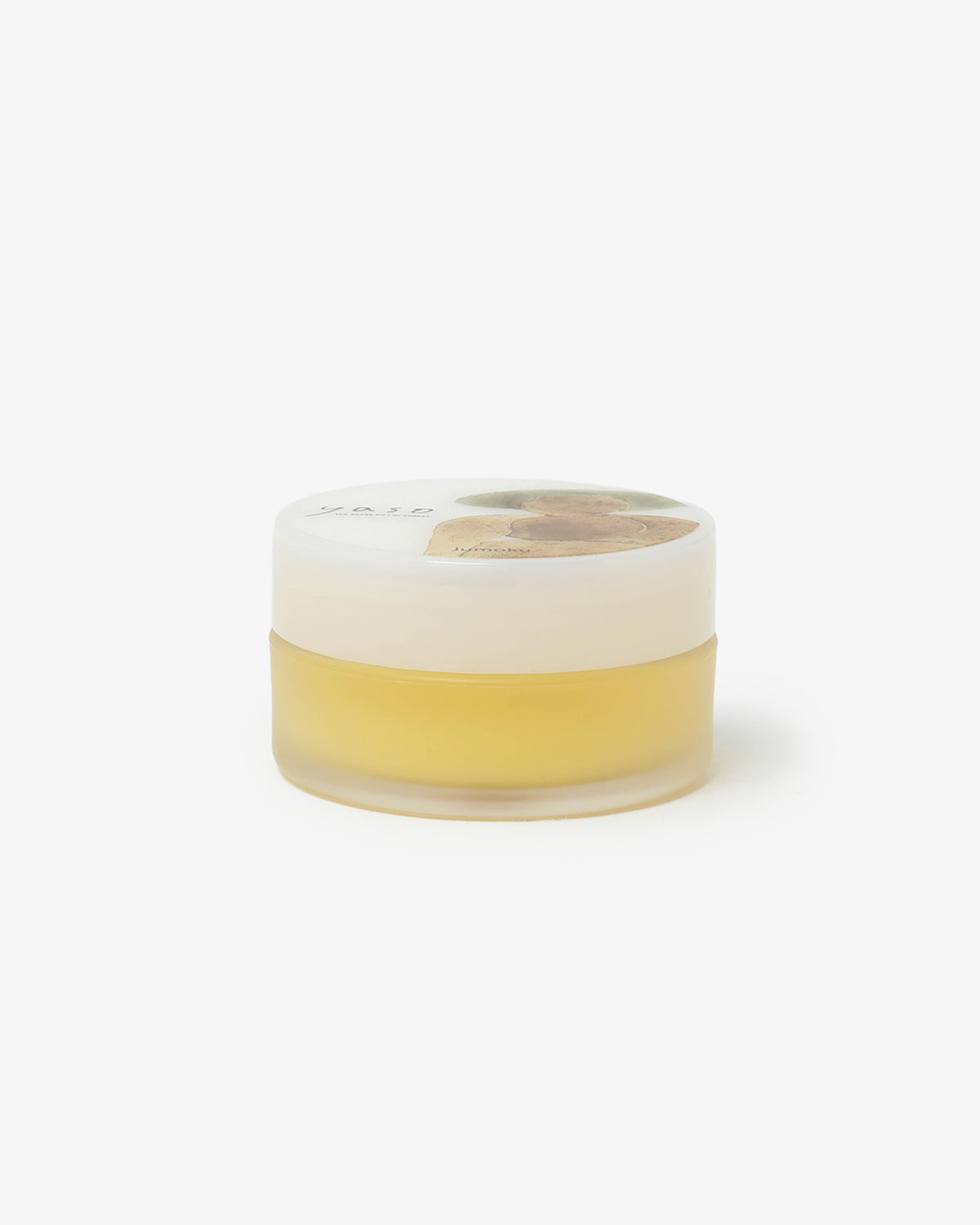 アカマツ バーム - 樹木